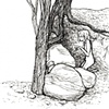 Shelter