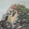 Lady Godiva escaping up the mountainside