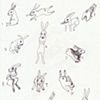 St. Louis Bunnies