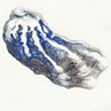 Seashell Figures