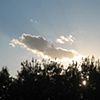 Nature Photos