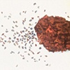 Egg after Egg Installation