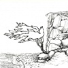 Tree Beside Cliff