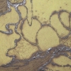 Egg Step in Green (detail)