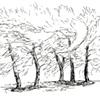 Five Trees and a Breeze