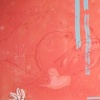 Poor Edmound is Sinking-Detail