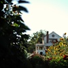 Scribe Hacienda