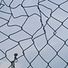 Fences