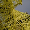 Sculpture
