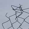 Fence 3