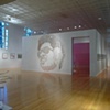 Stevie Wonder (Install)