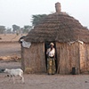 Hut