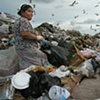 On the trash mound
