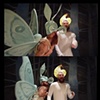 Moth to a Flame or Diogenes' Search for an Honest Man