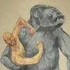 Ape Rape