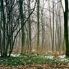 West from SS Officers Colony at Buchenwald (2010)

(Click Image for Larger View)