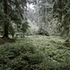 Southeast from Brothel at Flossenb&uuml;rg (2010)

(Click Image for Larger View)