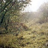 South from Camp Cinema at Mittelbau-Dora (2009)

(Click Image for Larger View)