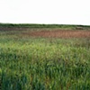 Southwest from Sick Quarters at Mauthausen (2010)

(Click Image for Larger View)
