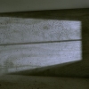 Linger (2007)