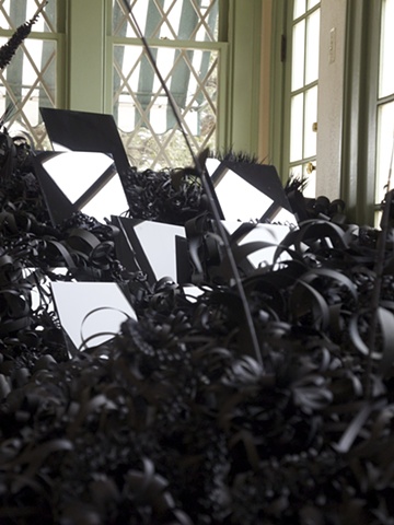 lauren fensterstock, Austim museum of Art