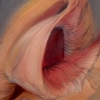 Flesh Shells