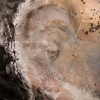 Uranium Bomb, Trinity Test: New Mexico 1945