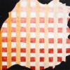 Shell Grid