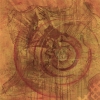 Frontal Fibonacci Shell 