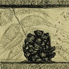 Pine Cone on Window Sill I