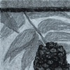 Pine Cone on Window Sill II
