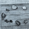 Stones and Pine Cones