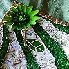 CHLOROPHYLIA