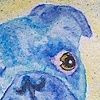 Paintings