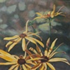 Larry Holley