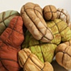 Garden 
Fabric, Fiberfill, Steel, Rust, 
Dimensions Variable
2007
