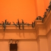 Infestation