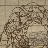 Viral Ring