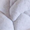 Molting Pillow No. 1