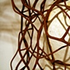 Umbilical Transference