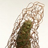 Invasive Species