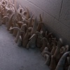 Infestation No. 2