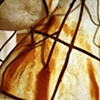 Umbilical Transference