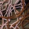 Ferrous Reproduction-Installation View-Detail