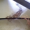 Ferrous Reproduction