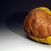 Protection/Constriction