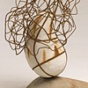 Directional Aspirations