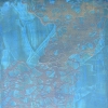 Sheep, Coral