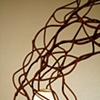 Umbilical Transference