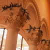 Infestation